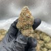 cherry gushers strain