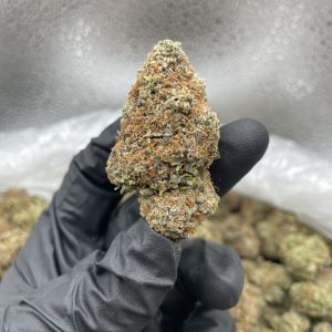 cherry gushers strain
