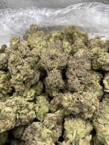 candy gelato strain