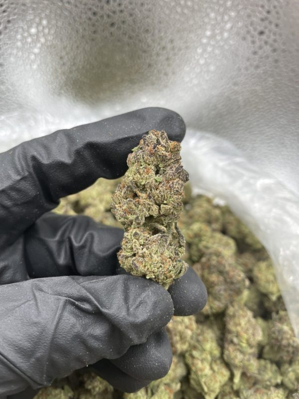 candy gelato strain