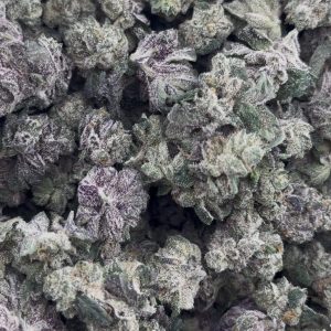 white runtz strain