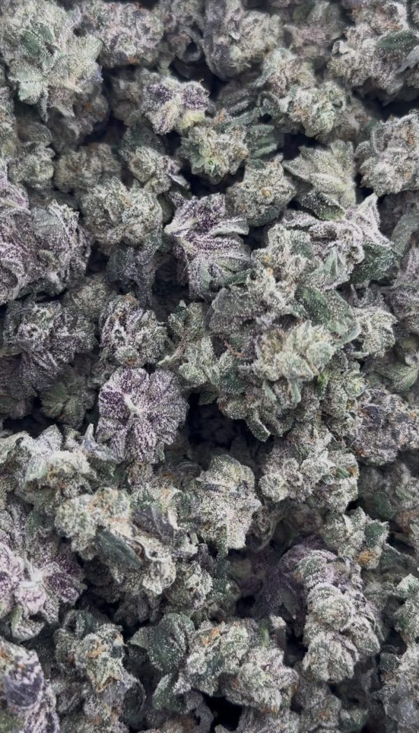 white runtz strain