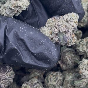 white runtz strain