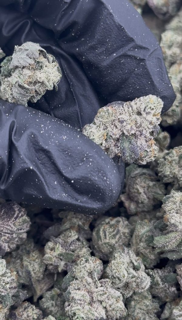 white runtz strain