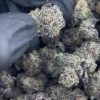 purple push pop strain