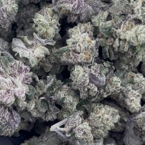 purple push pop strain
