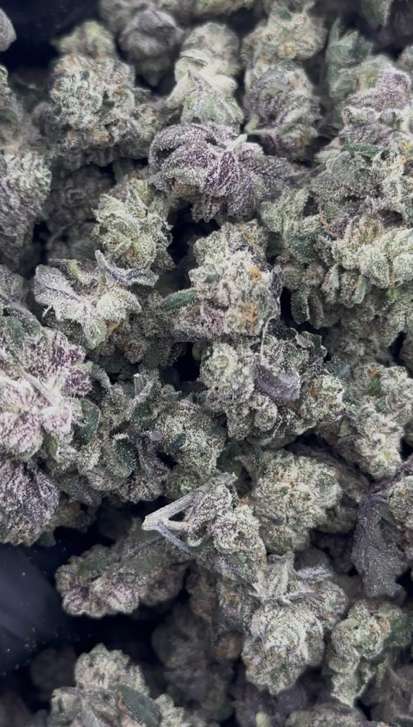 purple push pop strain