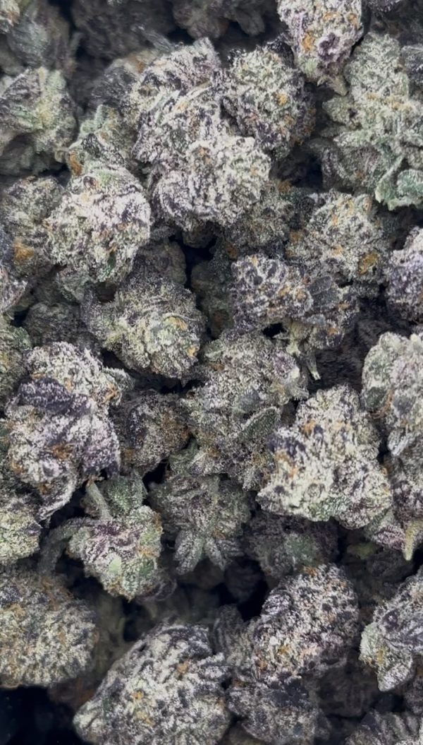 purple push pop strain