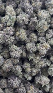 purple push pop strain