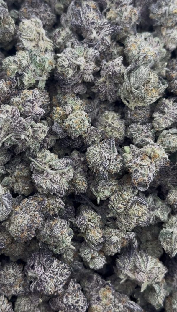 purple push pop strain
