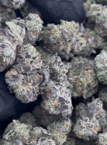 apple fritter strain