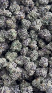 apple fritter strain