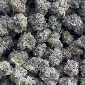 apple fritter strain
