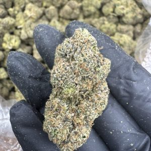 cherry bomb strain