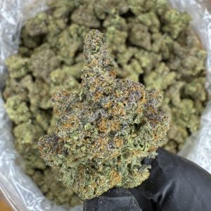 kush mintz strain