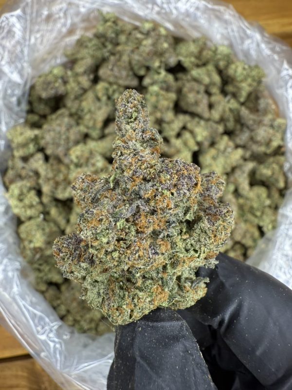 kush mintz strain