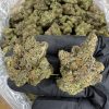 kush mintz strain