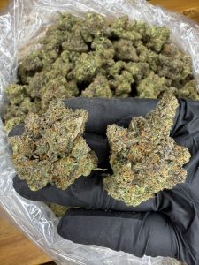 kush mintz strain
