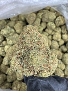 gumbo gelato strain