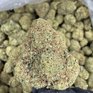 gumbo gelato strain