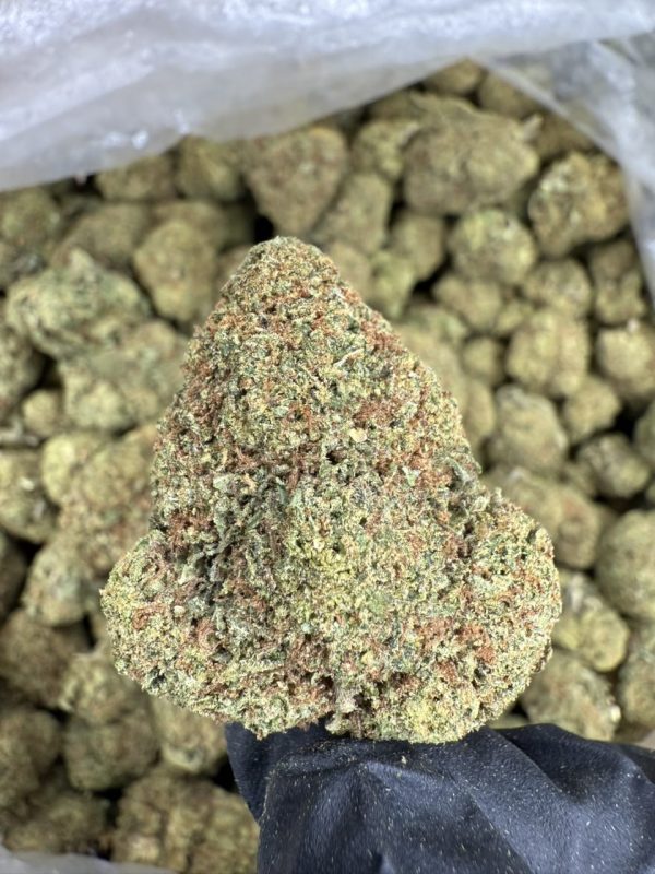 gumbo gelato strain