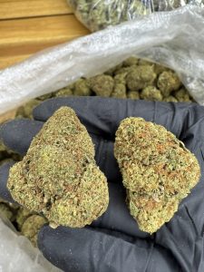 gumbo gelato strain