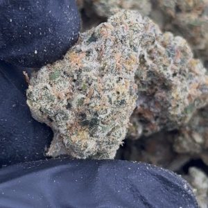 rainbow belts strain