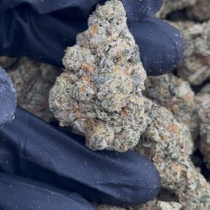rainbow belts strain