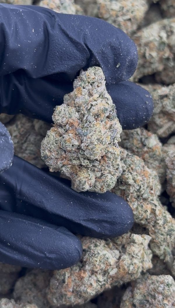 rainbow belts strain