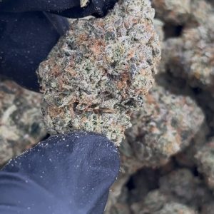rainbow belts strain