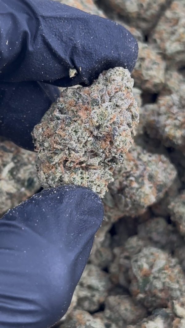 rainbow belts strain