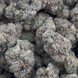rainbow belts strain