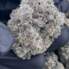 sherbet strain
