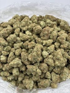 papaya strain