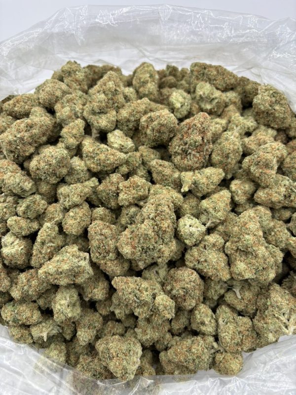 papaya strain