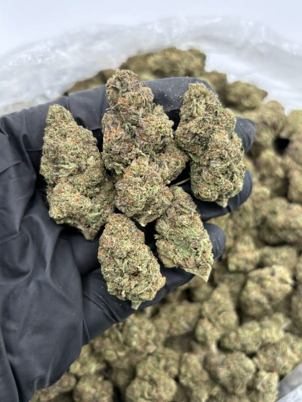 bacio gelato strain