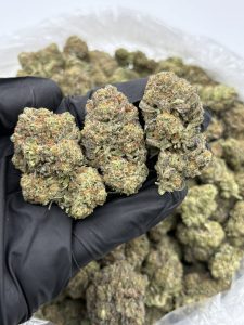 white truffle strain