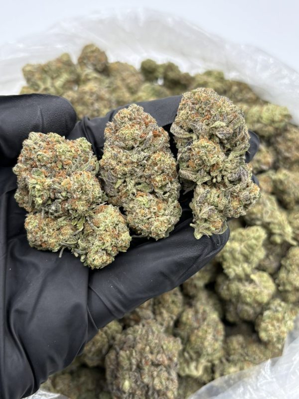 white truffle strain