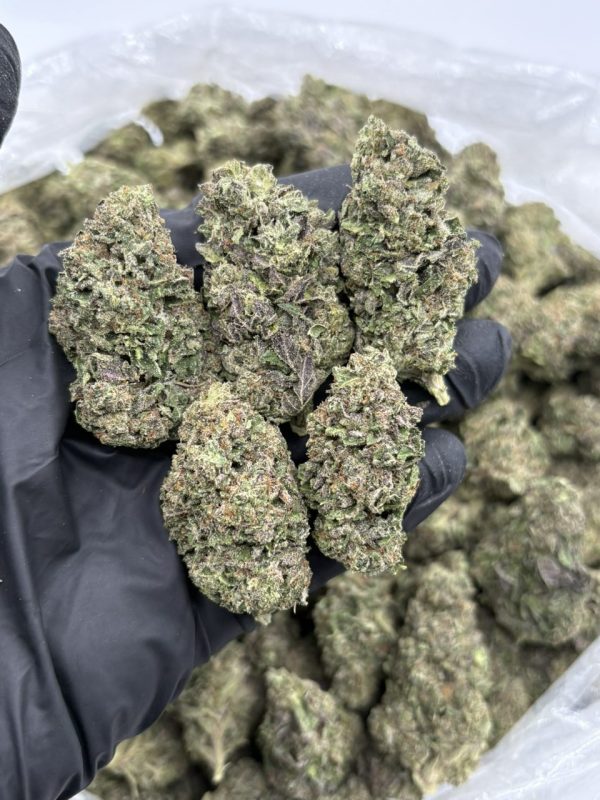 purple gelato strain