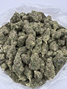 purple gelato strain