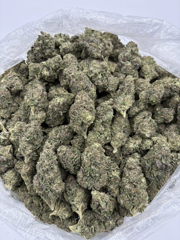 purple gelato strain