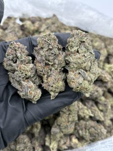 black cherry runtz strain