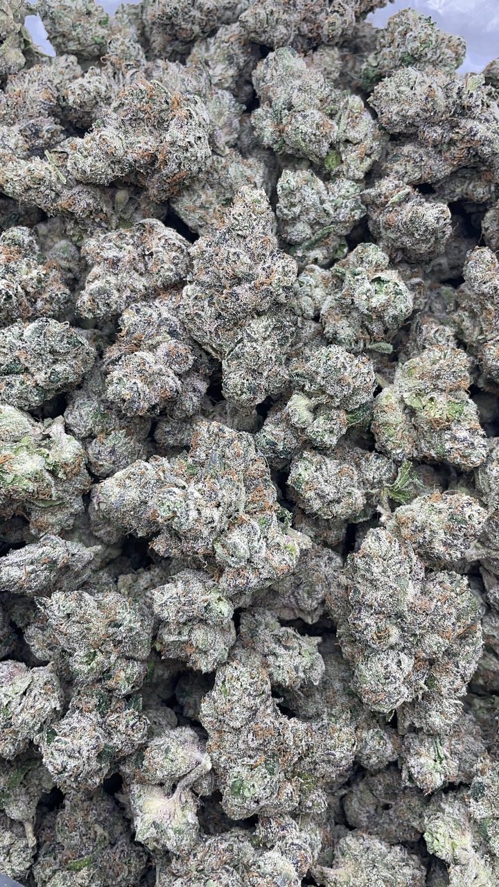 super runtz strain super runtz strain