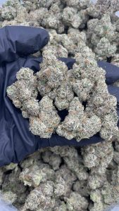 rainbow gelato strain