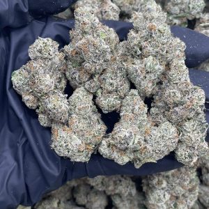 rainbow gelato strain