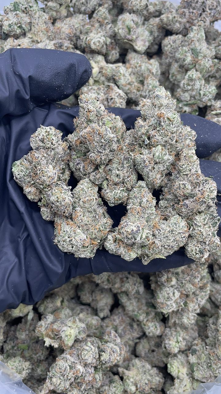 rainbow gelato strain rainbow gelato strain