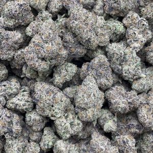 jungle gelato strain