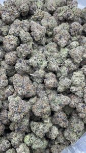 russian runtz strain