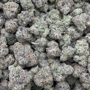 russian runtz strain