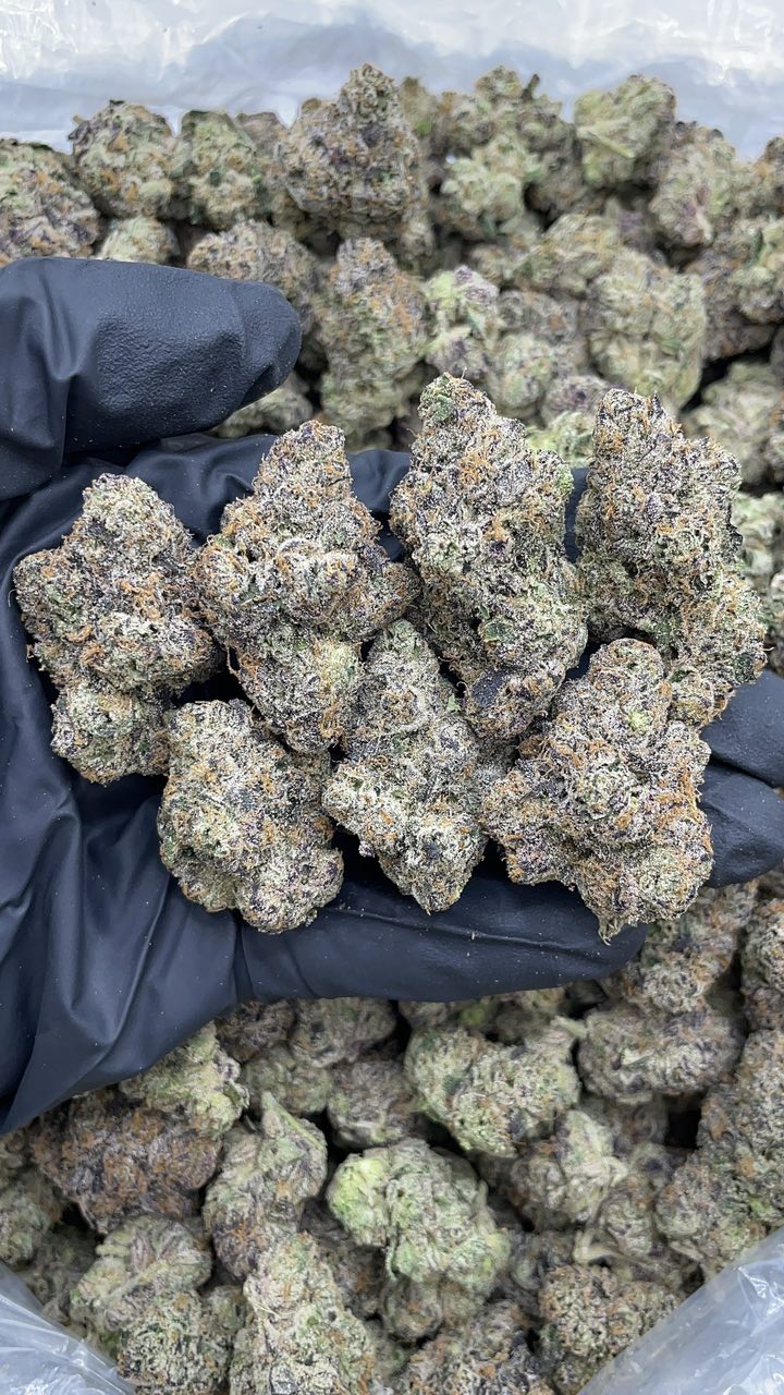 russian runtz strain russian runtz strain